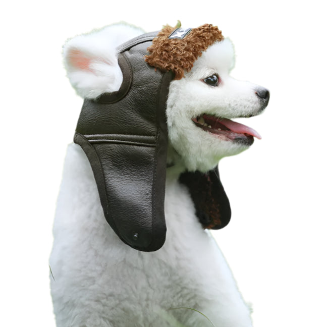 Pet Headwear Aviator Hat