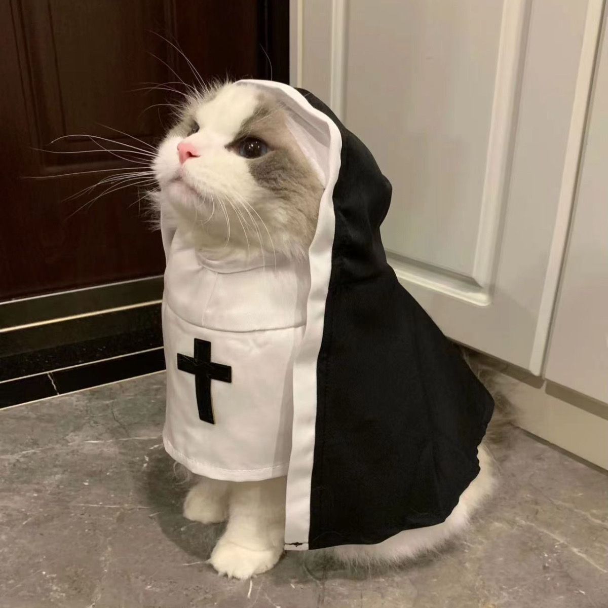 Funny Pet Costume Nun