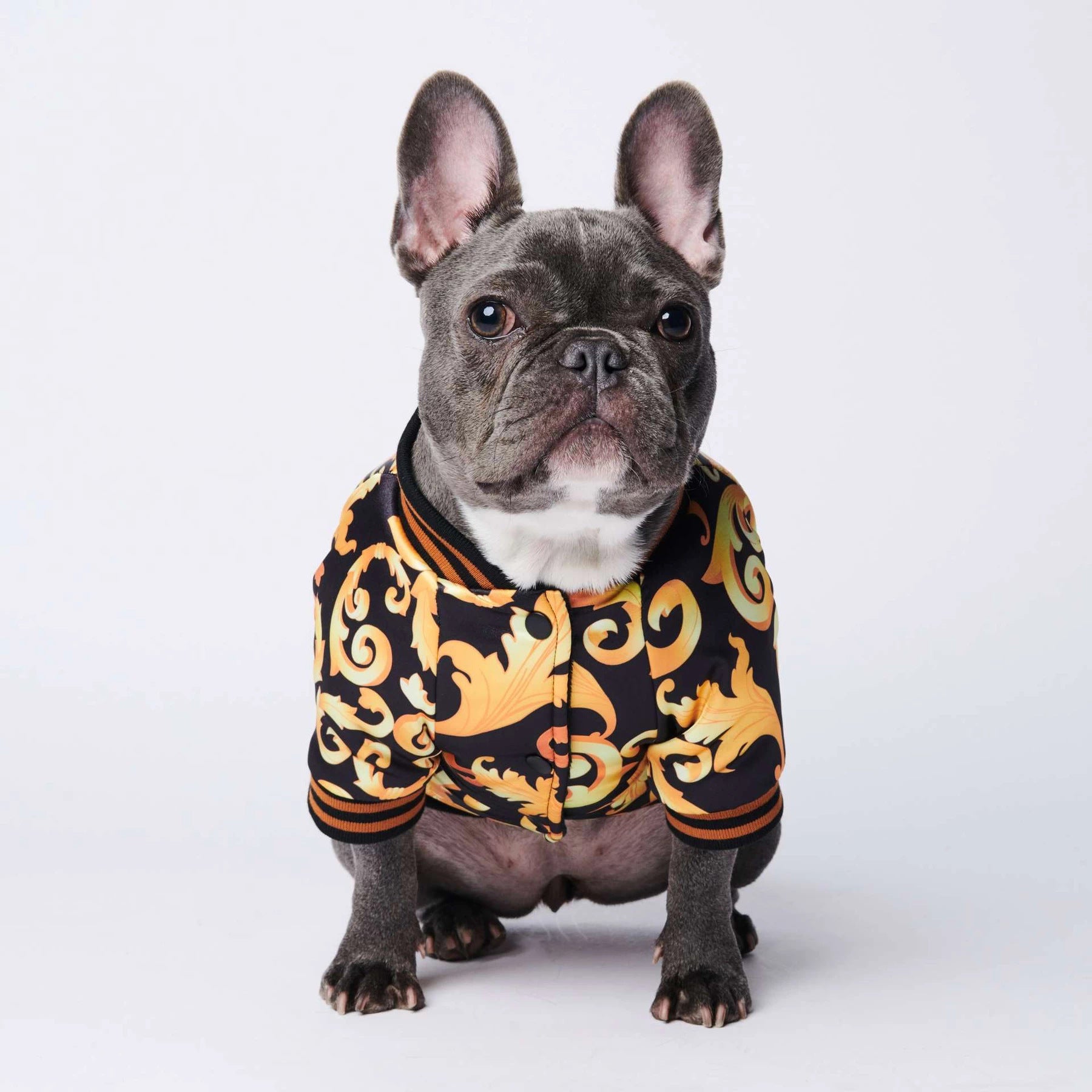 Pet Fancy Jacket
