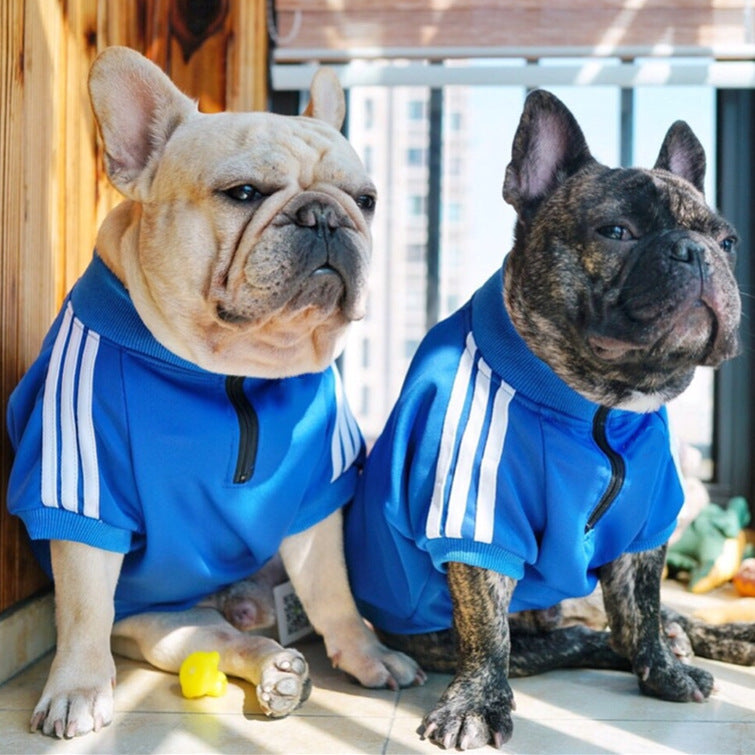 Pet Tracksuit Blue