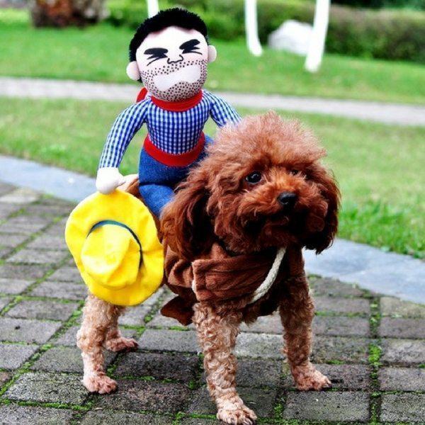 Funny Pet Costume Crazy Cowboy