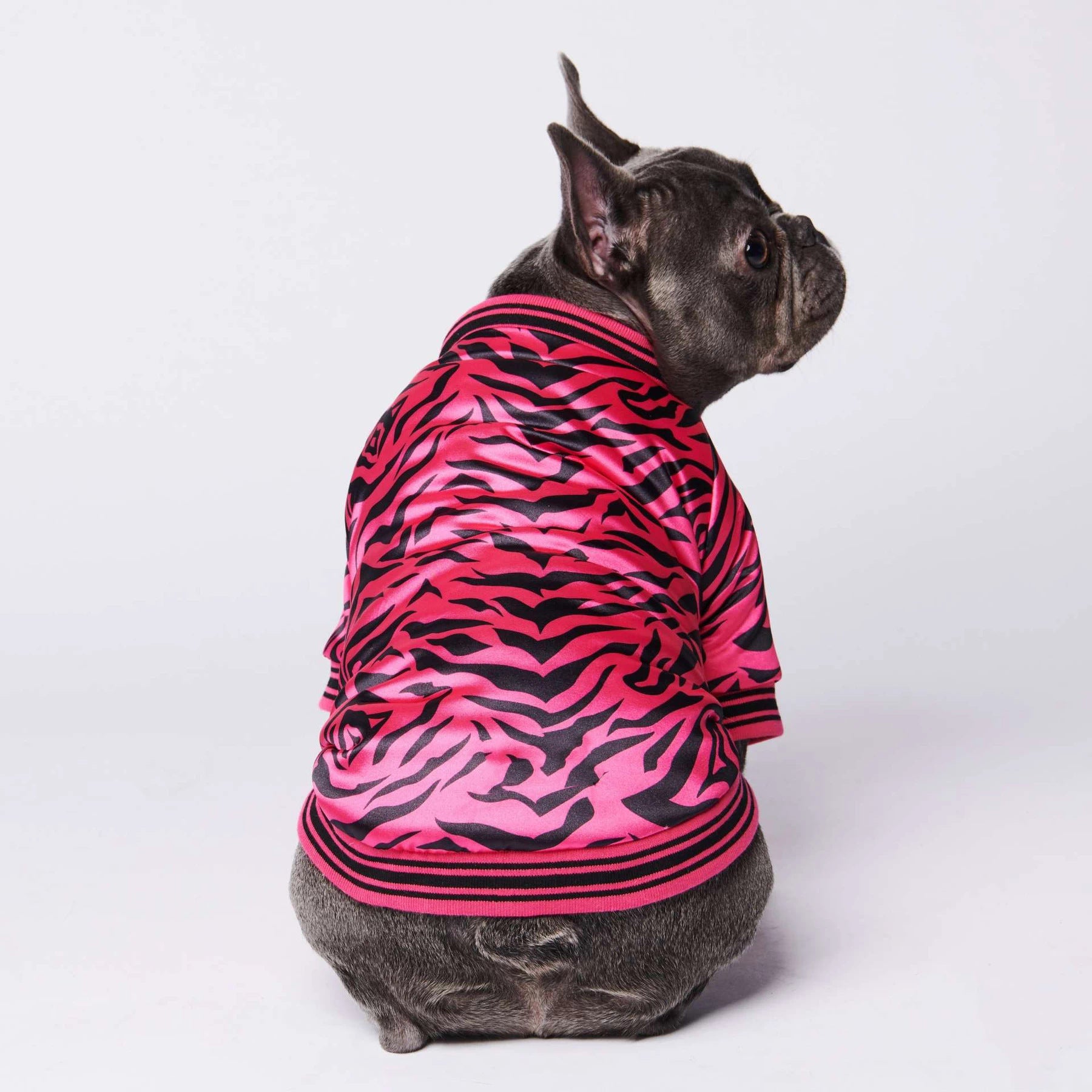Pet Fancy Jacket Zebra Pink