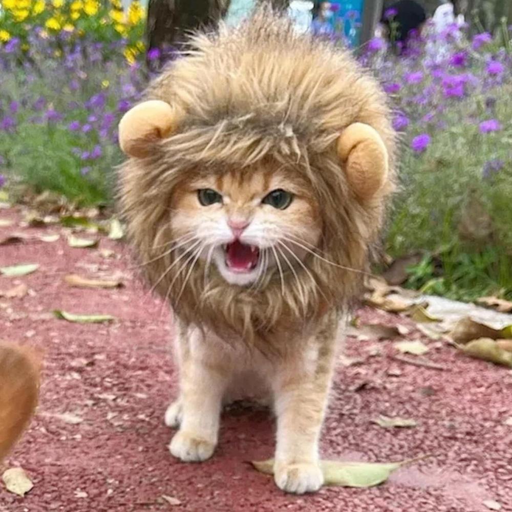 Funny Pet Headwear Lion Mane Brown