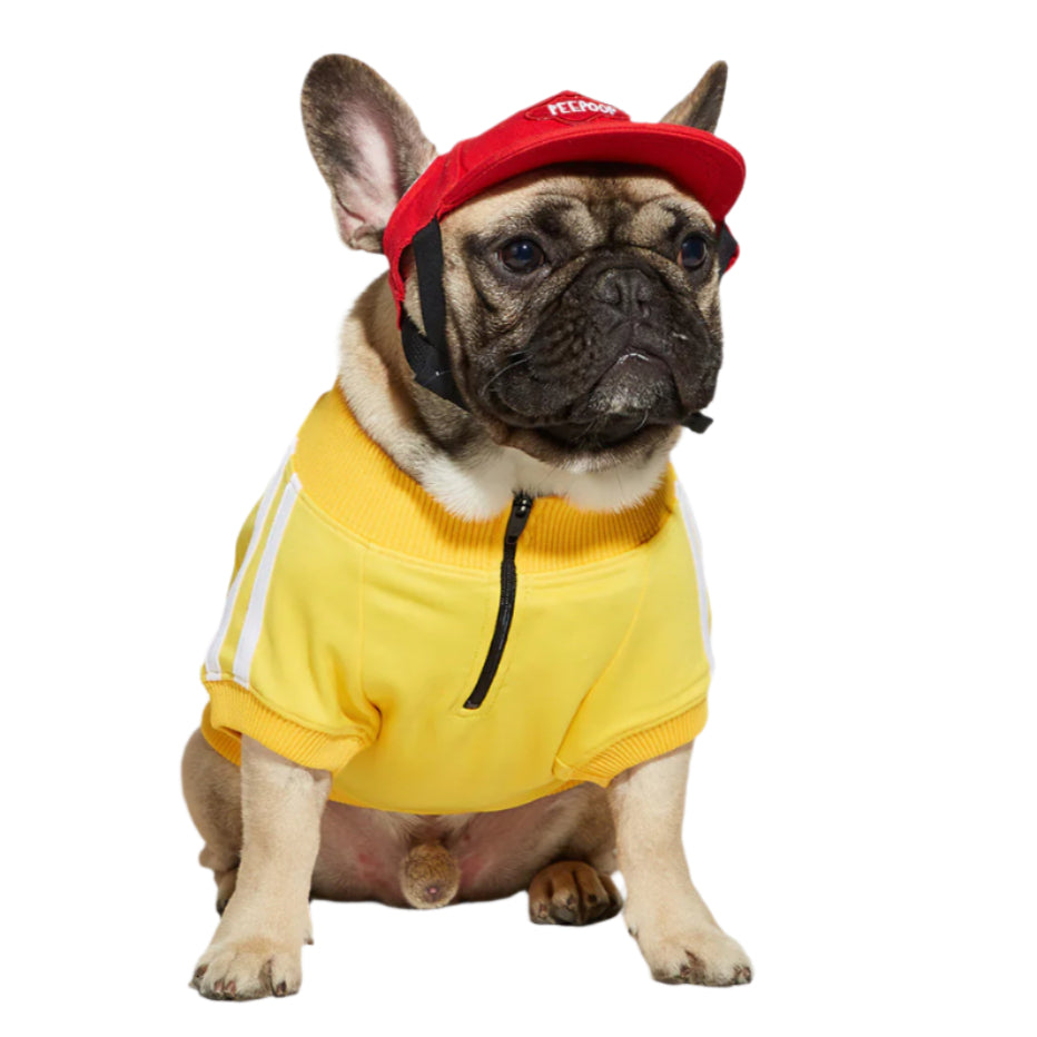 Pet Tracksuit Yellow