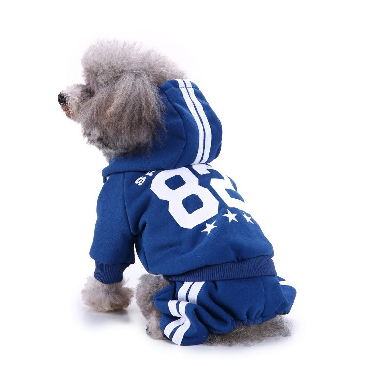 Dog wearing a blue hoodie with the white number 82 and stars on a white background