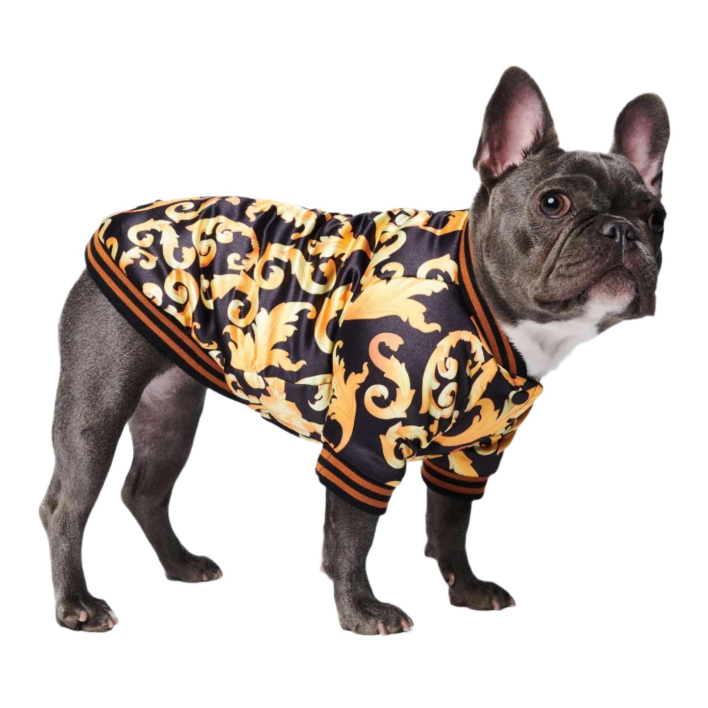 Pet Fancy Jacket
