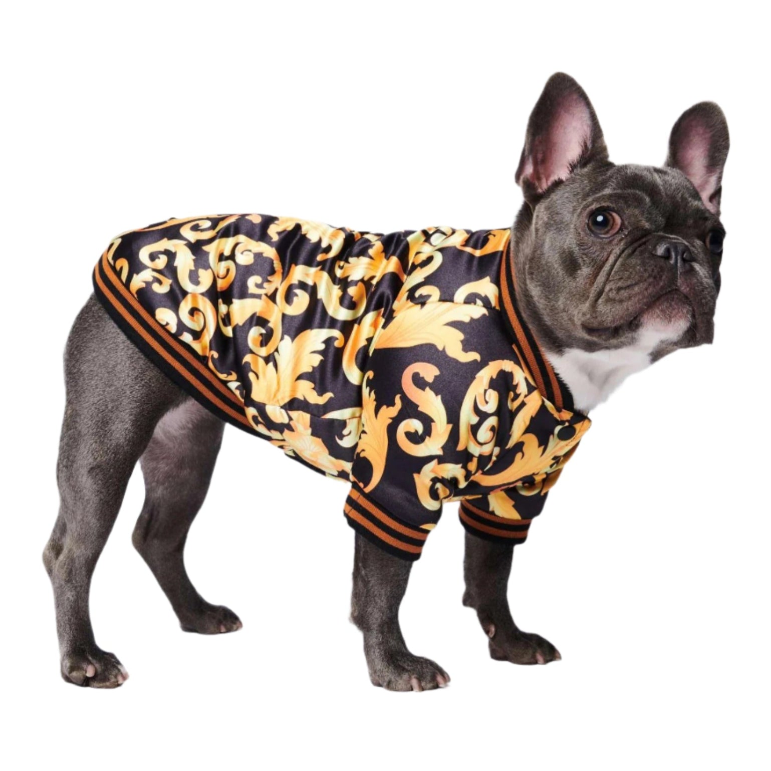 Pet Fancy Jacket