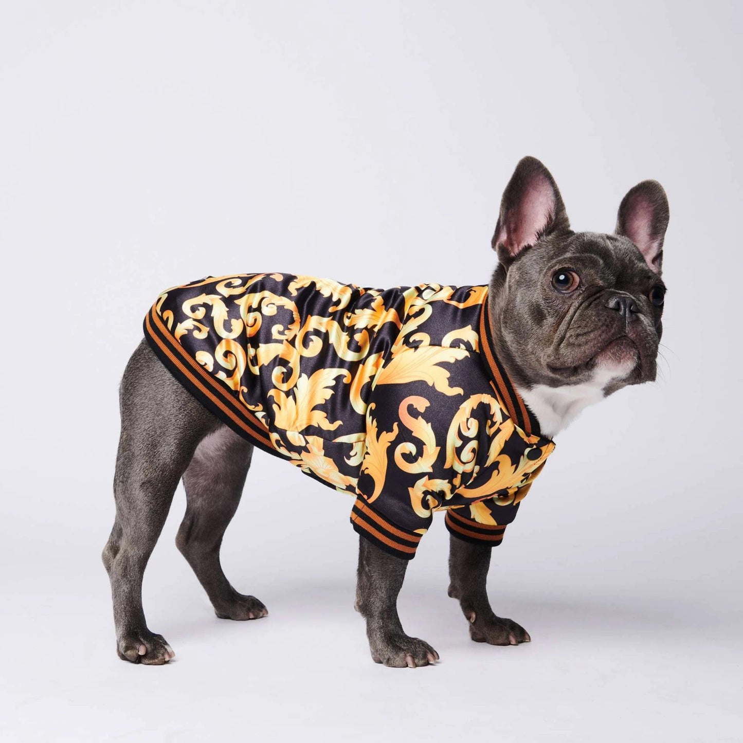 Pet Fancy Jacket