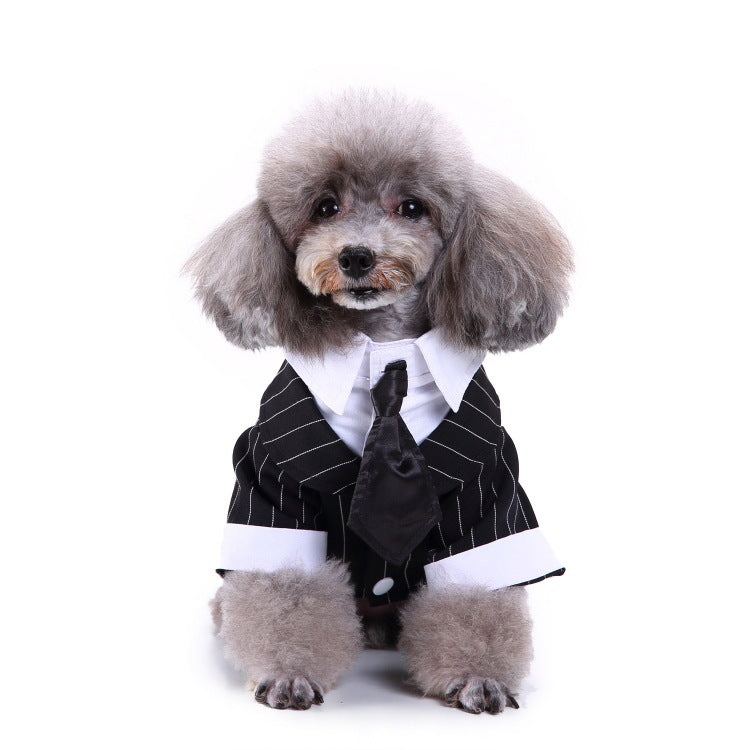 Pet Suit Black Tie 
