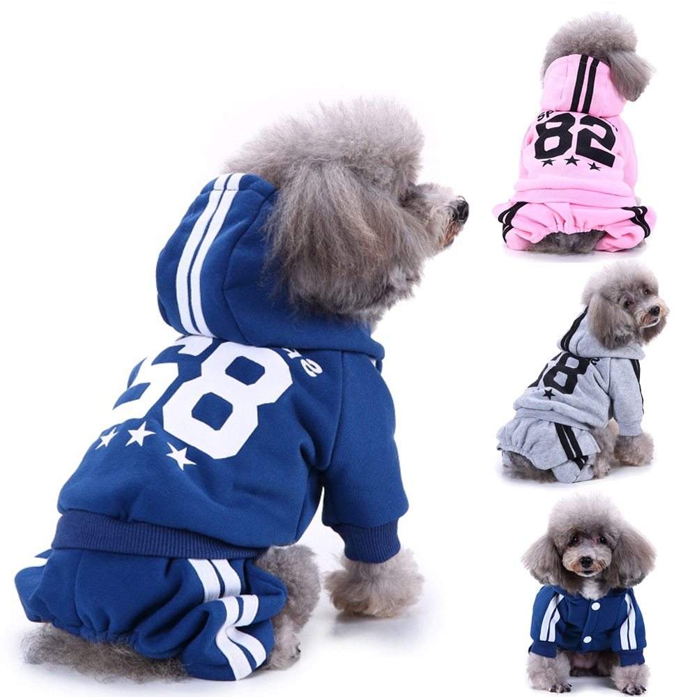 Dogs wearing different colored hoodies with number 82, shown from multiple angles on a white background.