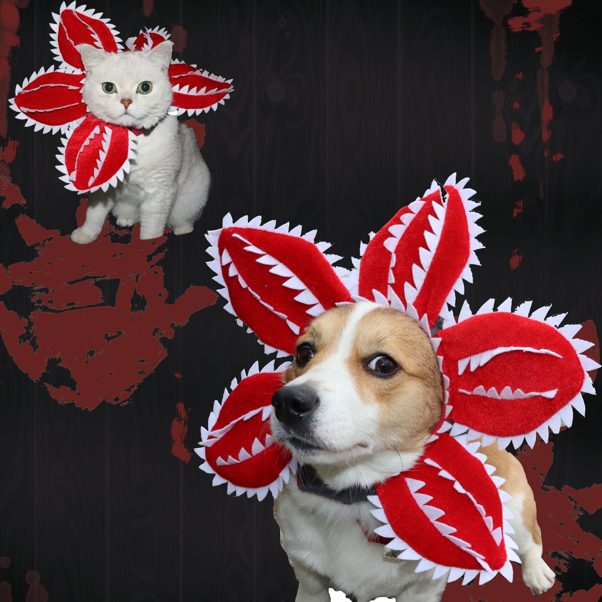 Funny Pet Headwear Carnivorous Plant