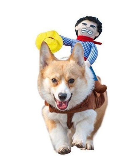 Funny Pet Costume Crazy Cowboy