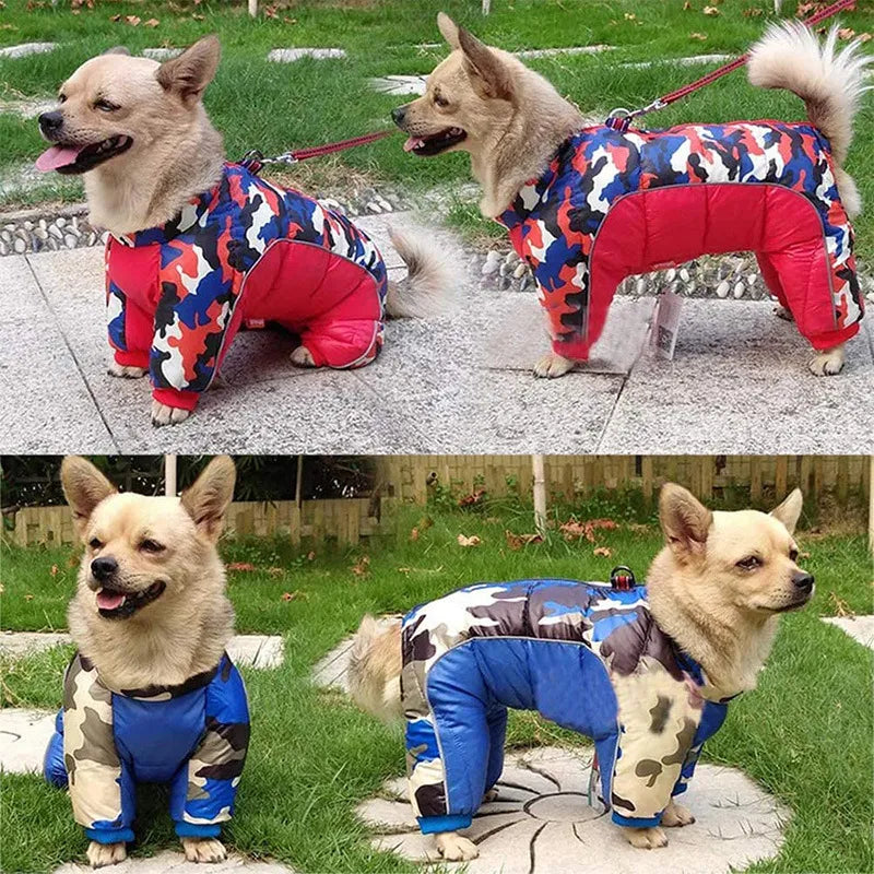 Pet Down Jacket Multi Patterned