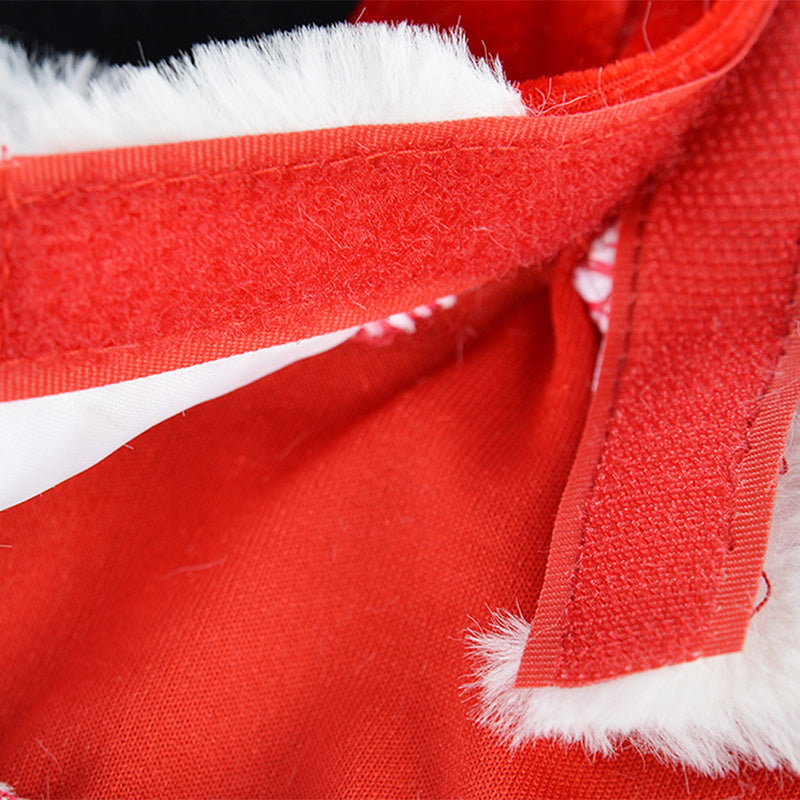 Funny Pet Costume Santa