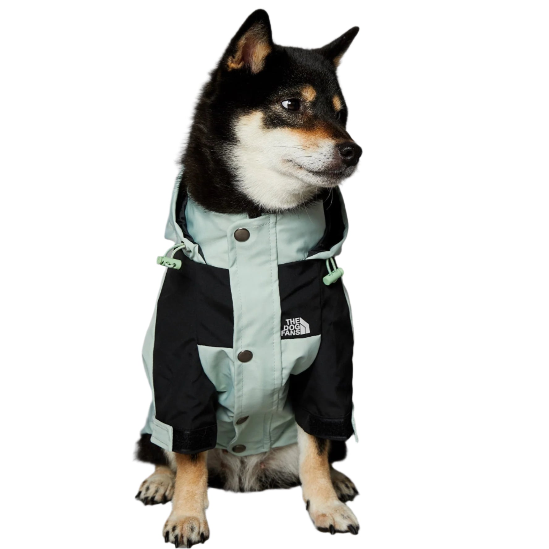 Pet Waterproof Shell Jacket Mint