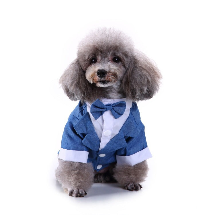 Pet Suit Blue Bow Tie