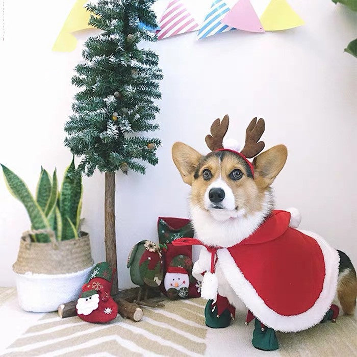 Pet Shoes Christmas Bell
