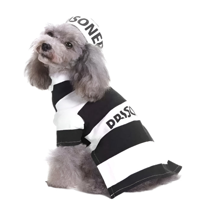 Funny Pet Costume Prisoner