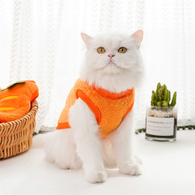 Funny Pet Costume Carrot