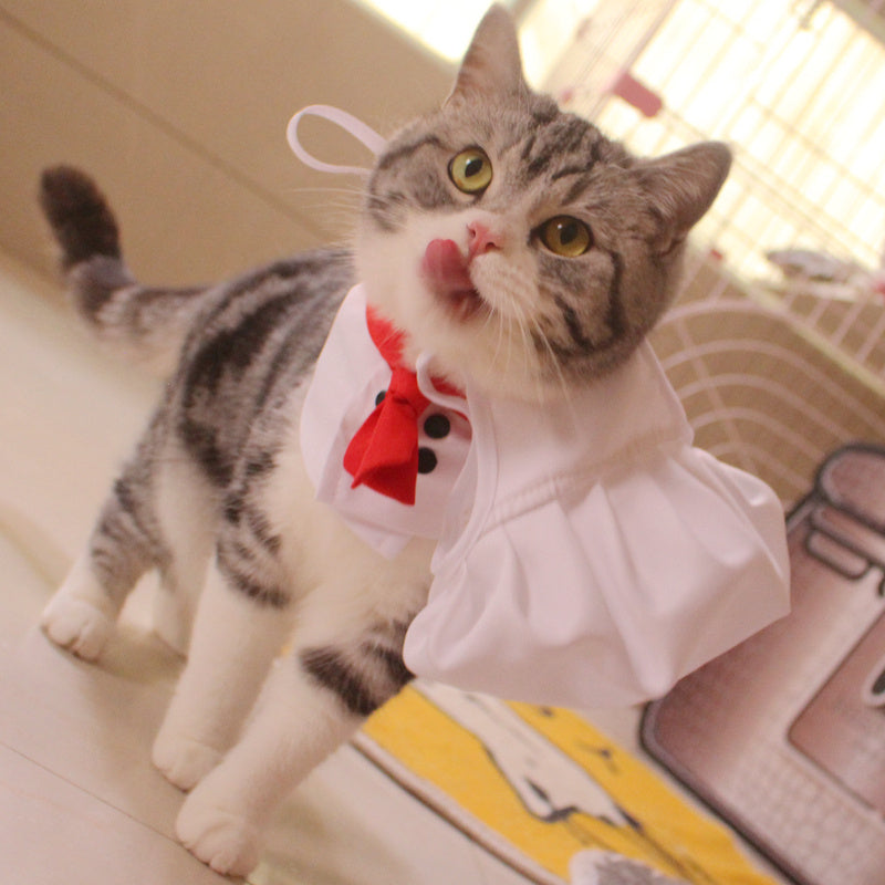 Funny Pet Costume Chef