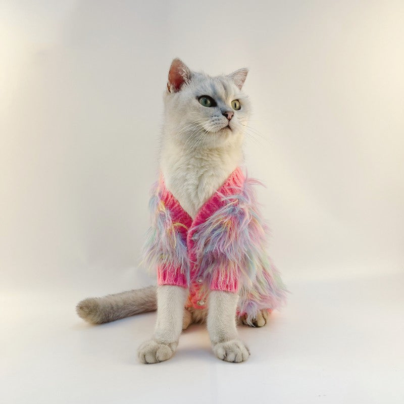 Cat wearing a fluffy rainbow sweater on a white background