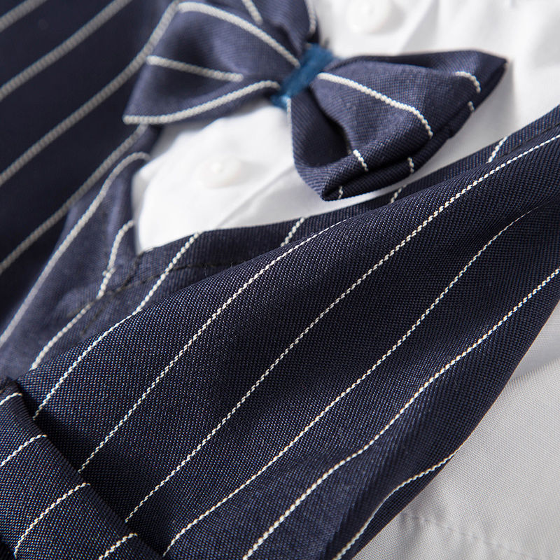 Pet Suit Bow Tie Blue