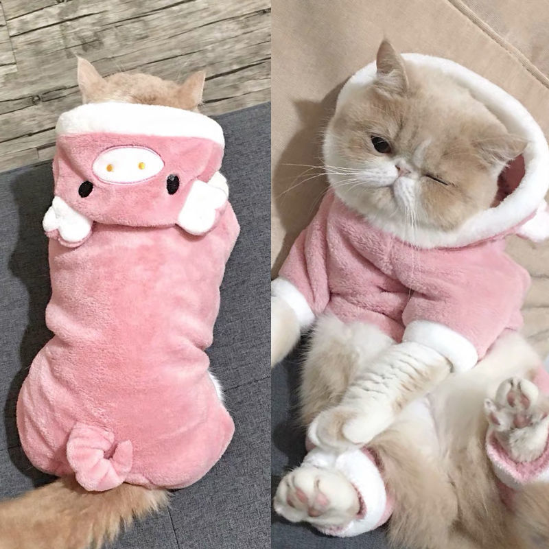Funny Pet Costume Pig 