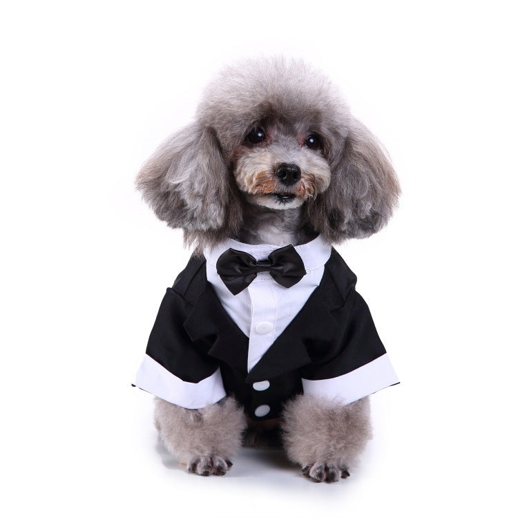 Pet Suit Black Bow Tie