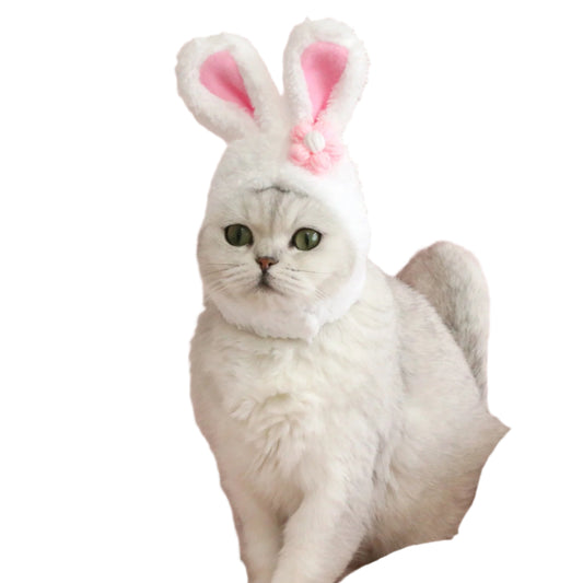 Funny Pet Headwear Rabbit Ears Flower