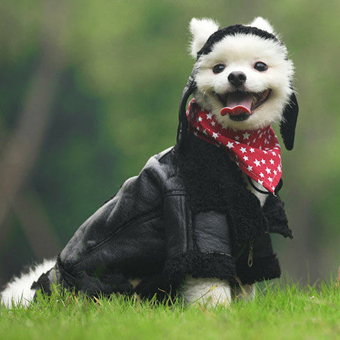 Pet Leather Jacket Aviator Black