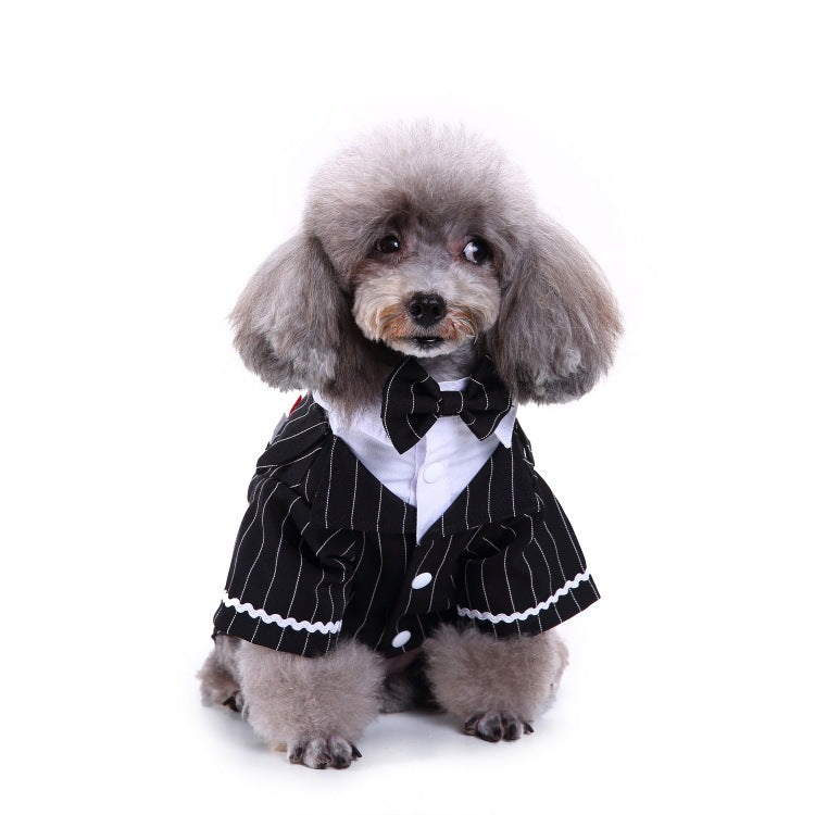 Pet Suit Black Bow Tie 