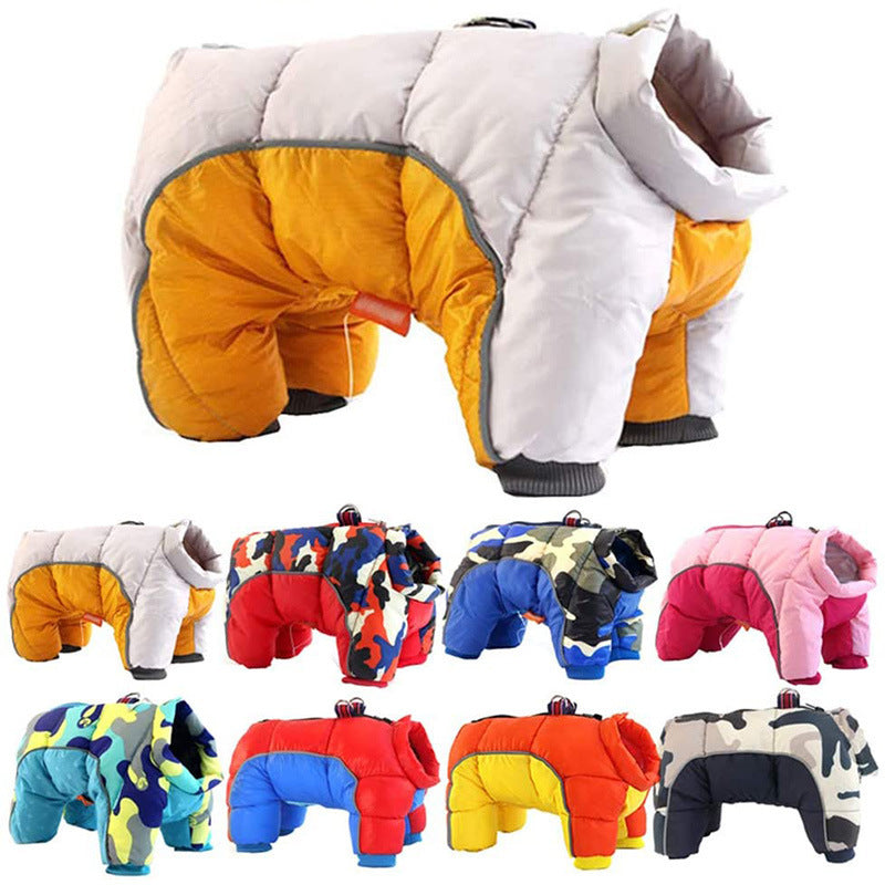 Collection of colorful dog winter jackets on a white background