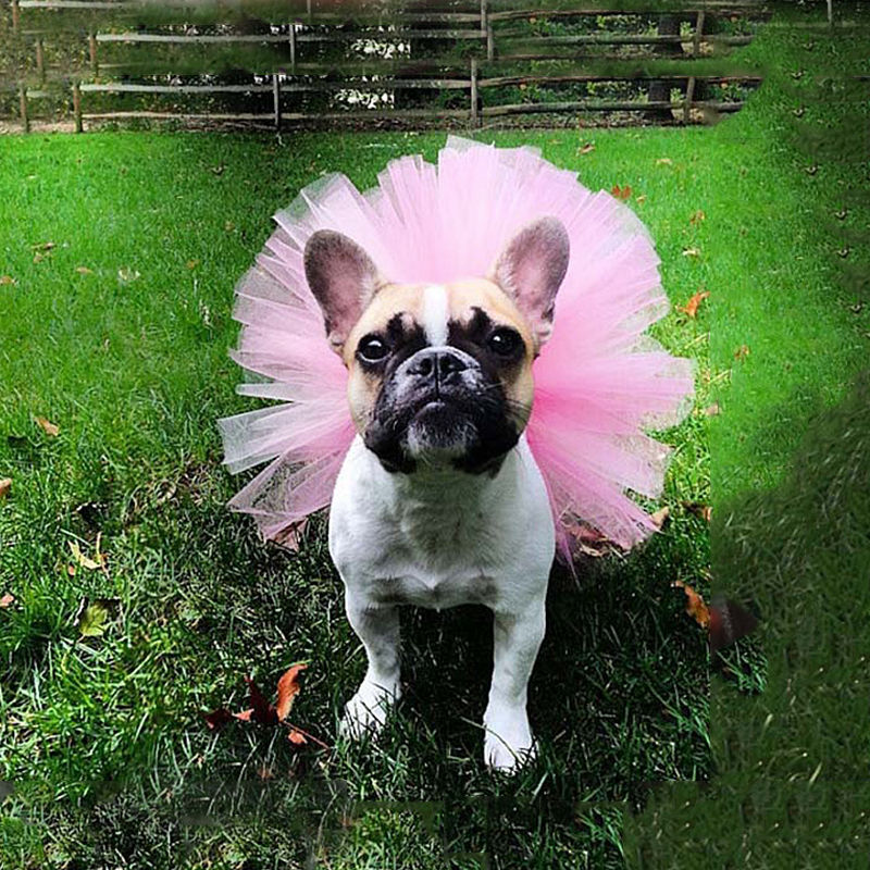 Pet Tutu Skirt Pink