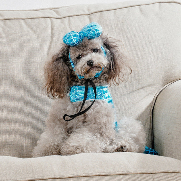 Funny Pet Costume Mermaid