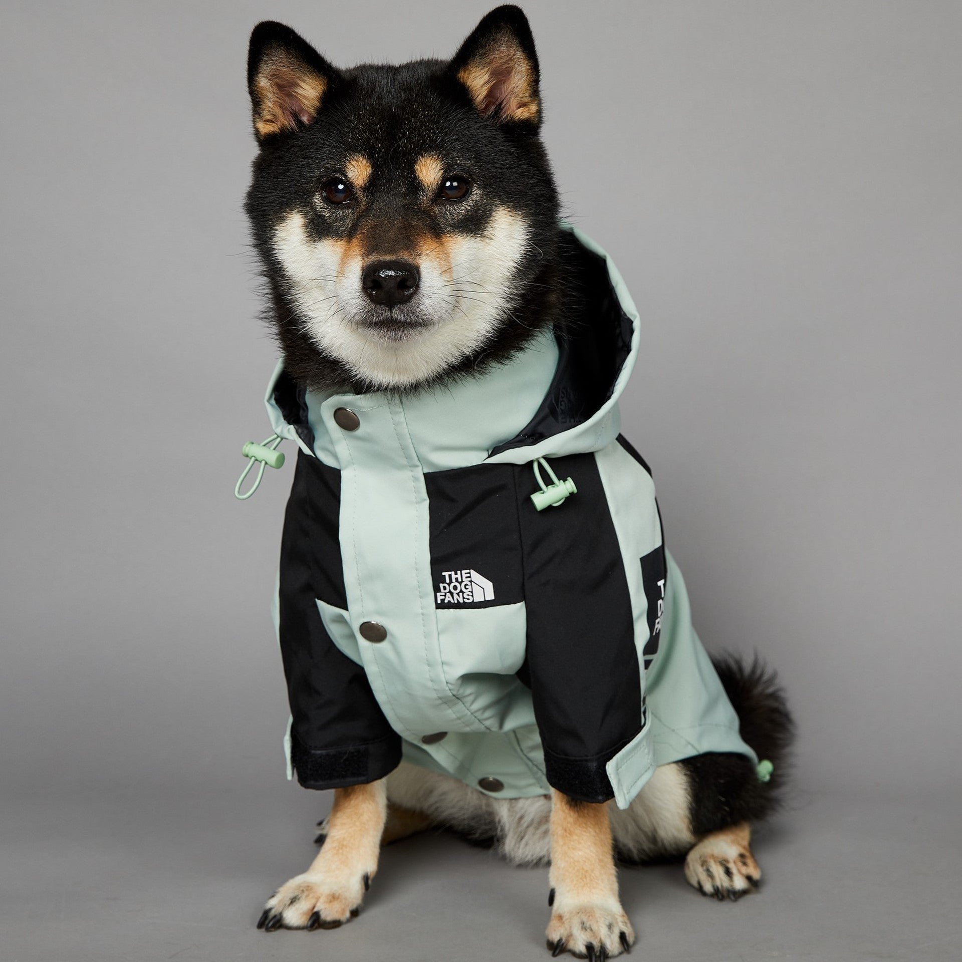 Pet Waterproof Shell Jacket Mint