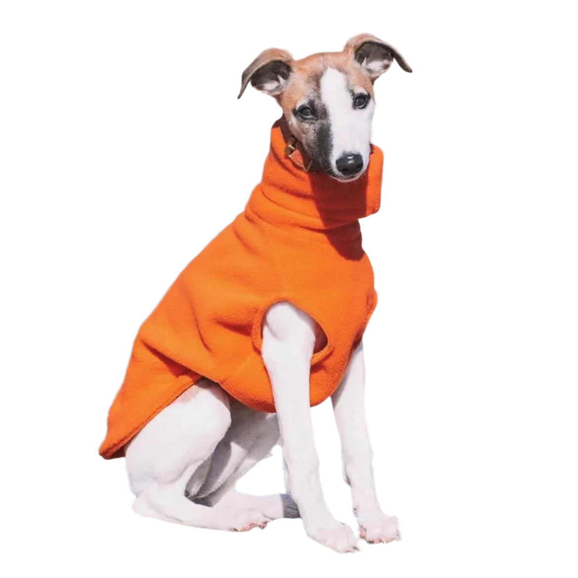 Pet clothing orange vest