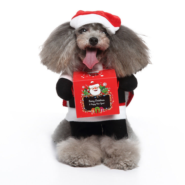 Funny Pet Costume Christmas Box
