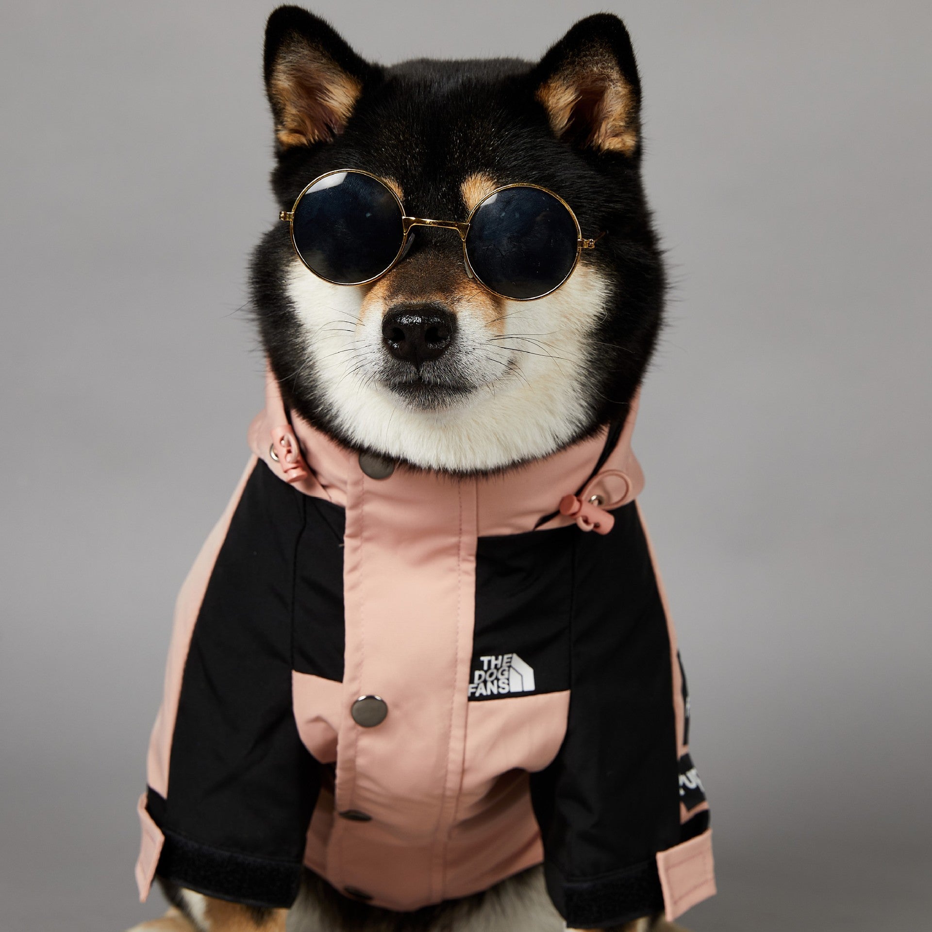 Pet Waterproof Shell Jacket Pink