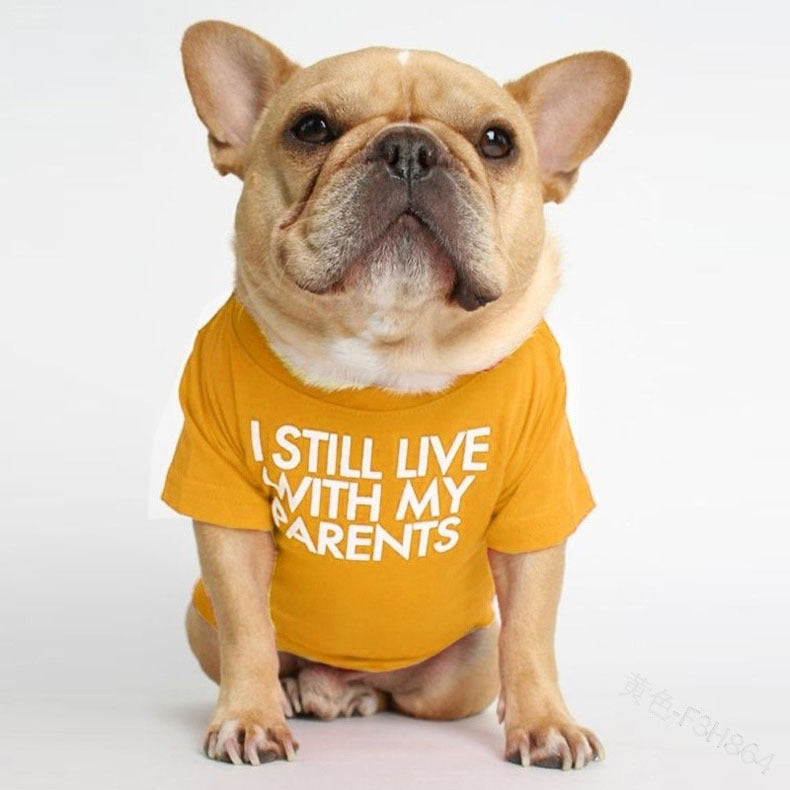 Pet T-shirt Funny Text Yellow