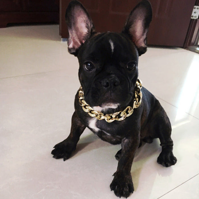 Pet Collar Chain Gold