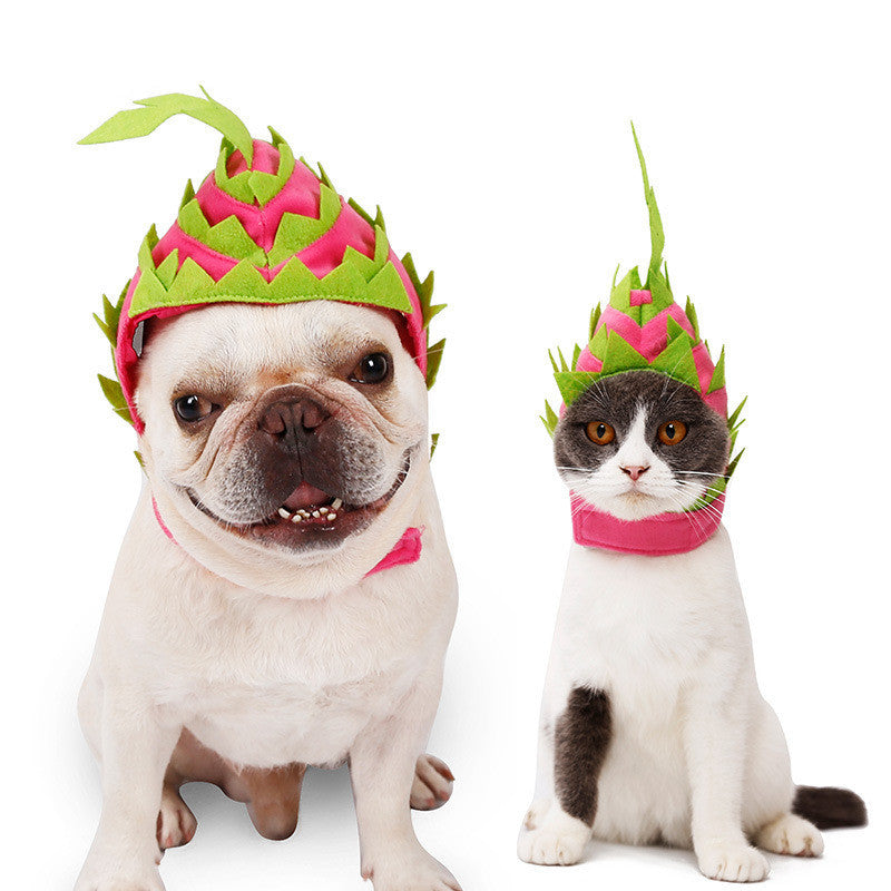 Funny Pet Headwear Pitaya