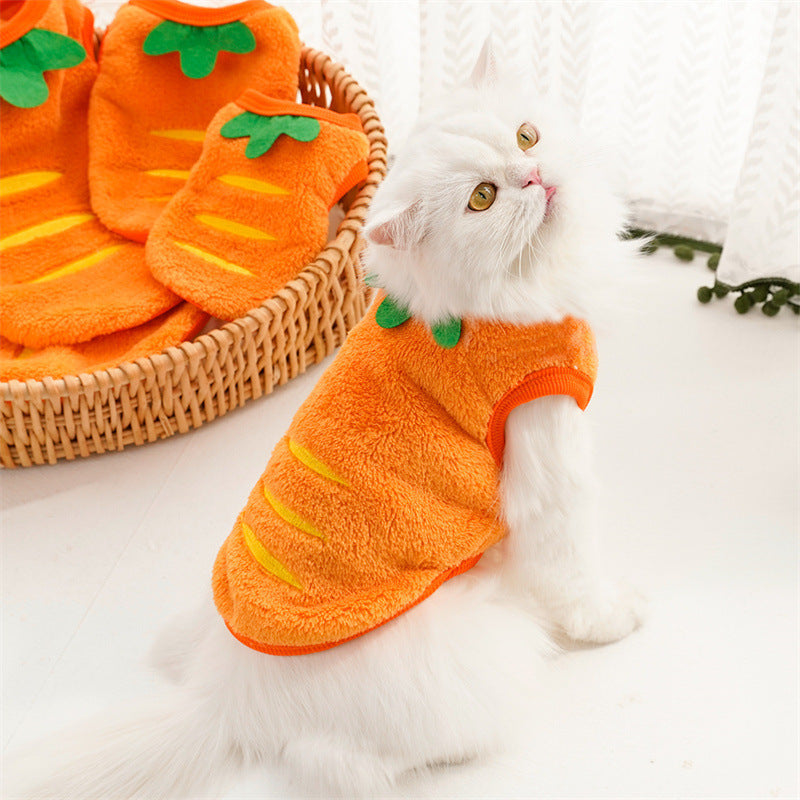 Funny Pet Costume Carrot