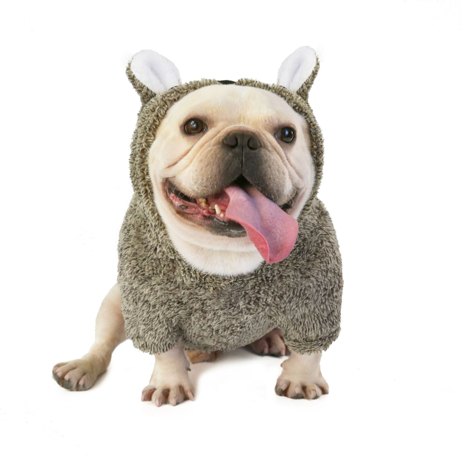 Funny Pet Costume Koala Brown
