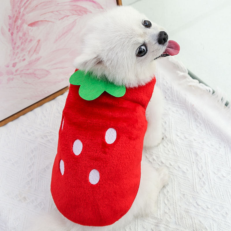 Pet Sweater Cute Fleece Strawberry