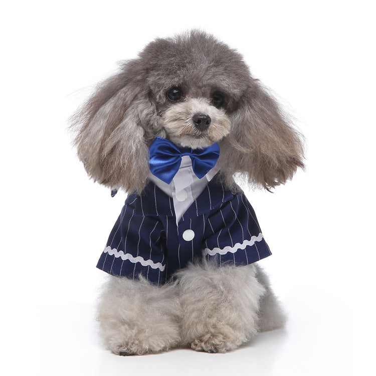 Pet Suit Blue Bow Tie