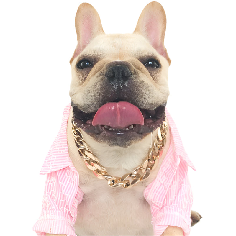 Pet Collar Chain Gold