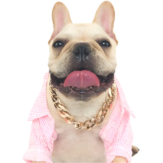 Pet Collar Chain Gold