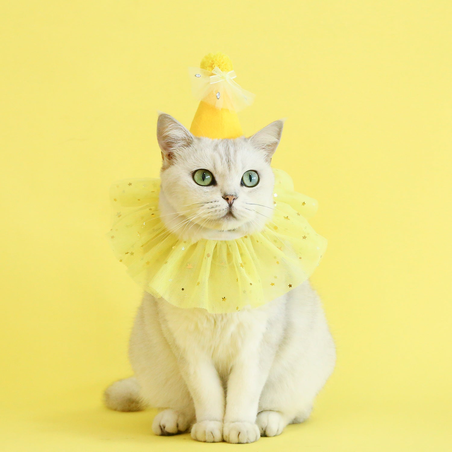 Pet Birthday Hat Set Yellow