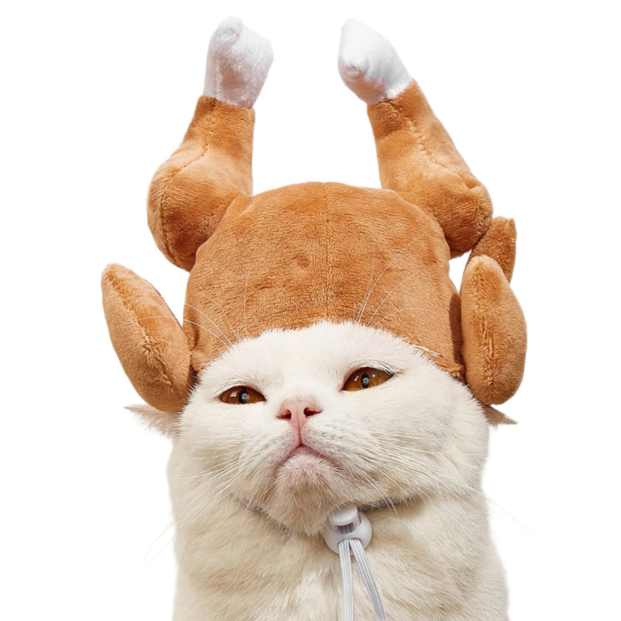 Funny Pet Headwear Turkey