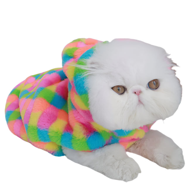 Pet Hoodie Fluffy Colours